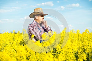 Agronomist or farmer examine blooming canola field