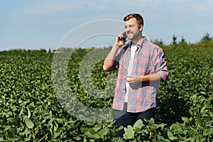 Agronomist or farmer examining crop of soybeans field