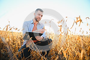 Agronomist farmer examining development of soybean crops in plantation field, selective focus.