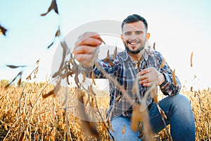 Agronomist farmer examining development of soybean crops in plantation field, selective focus.