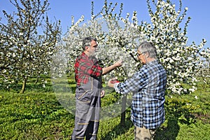 Agronomist and farmer in the orchard