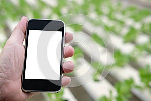 agronomist farmer using smart phone to monitor ec, pH, temperatu photo