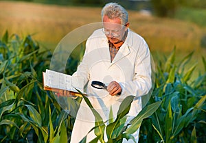 Agronomist in field