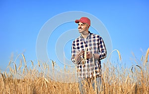 Agronomist in field. Cereal grain crop