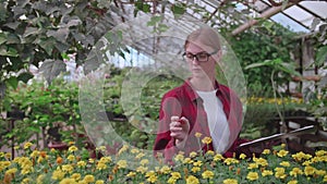 Agronomist girl in glasses and checkered red shirt checks the quality and quantity of plants in the greenhouse