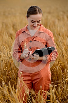 Agronomist holding test tube with barley grains in field, closeup. Cereal farming, oncept of wheat testing