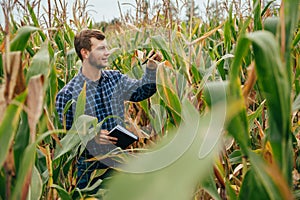 Agronomist holds tablet touch pad computer in the corn field and examining crops before harvesting. Agribusiness concept.