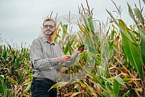 Agronomist holds tablet touch pad computer in the corn field and examining crops before harvesting. Agribusiness concept