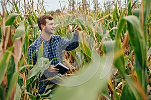 Agronomist holds tablet touch pad computer in the corn field and examining crops before harvesting. Agribusiness concept. photo