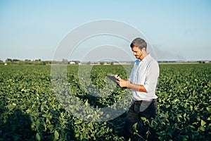 Agronomist holds tablet touch pad computer in the soy field and examining crops before harvesting. Agribusiness concept.