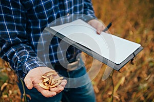 Agronomist holds tablet touch pad computer in the soy field and examining crops before harvesting. Agribusiness concept.