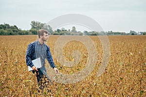 Agronomist holds tablet touch pad computer in the soy field and examining crops before harvesting. Agribusiness concept.