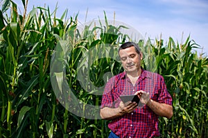 Agronomist inspect corn field