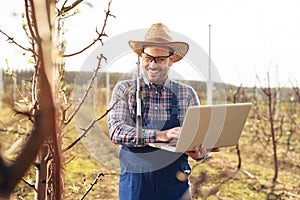 Agronomist with laptop standing in pear orchard and checking tree