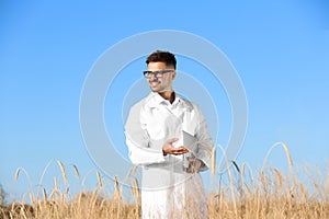 Agronomist with laptop in wheat field. Cereal grain