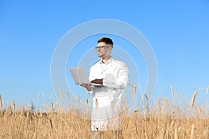 Agronomist with laptop in wheat field. Cereal grain