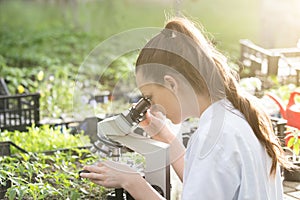 Agronomist with microscope in greenhouse