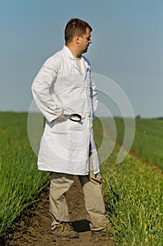 Agronomist in onion field