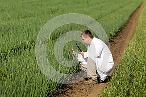 Agronomist in onion field