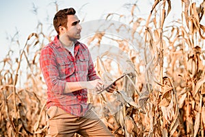 Agronomist portrait of man using tablet in agriculture harvest