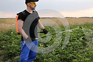 Agronomist in protective glasses and gloves with mist sprayer treats blooming potato plantation from pests, colorado