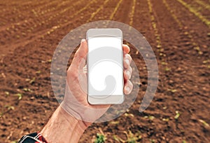 Agronomist with smartphone mock up screen in corn field