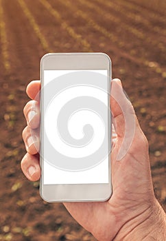 Agronomist with smartphone mock up screen in corn field