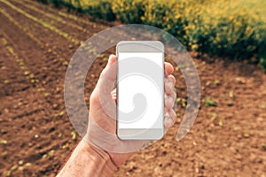 Agronomist with smartphone mock up screen in corn and rapeseed field