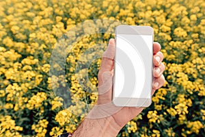 Agronomist with smartphone mock up screen in oilseed rape field