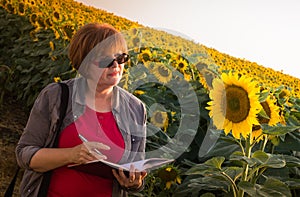 Agronomist in sunflower field