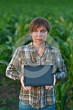 Agronomist with tablet computer in corn field