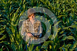 Agronomist with tablet computer in corn field