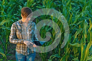Agronomist with tablet computer in corn field