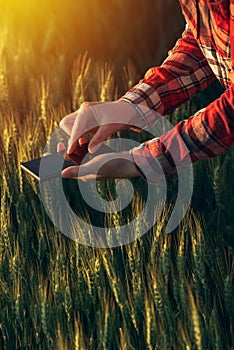 Agronomist using smart phone app to analyze crop development