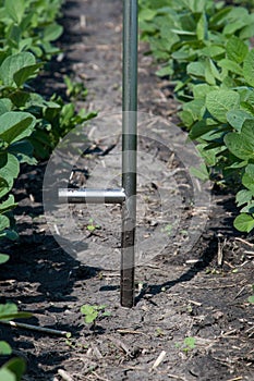 Agronomist Using a Tablet in an Agricultural Field