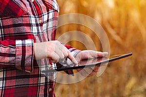 Agronomist using tablet computer in corn field during harvest