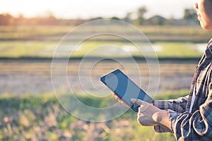 Agronomist Using a Tablet for read a report on the agriculture Field.