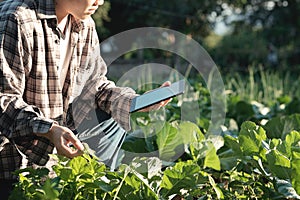 Agronomist Using a Tablet for read a report and sitting in an ag