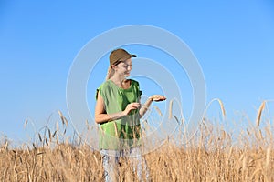Agronomist in wheat field. Cereal grain