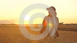 Agronomist woman farmer, business woman looks into a tablet in a wheat field. Modern technologists and gadgets in