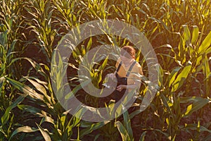 Agronomist woman using tablet computer in corn field