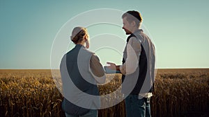 Agronomists team working wheat field together. Male hands holding tablet closeup photo