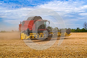 Agronomy combine gold wheat harvester. Agricultural farming wheat harvesting.