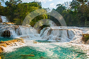 Agua Azul, Chiapas, Palenque, Mexico. View of the amazing waterfall with turquoise pool surrounded by green trees.