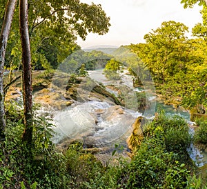 Agua Azul Waterfall Mexico