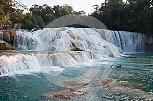 Agua Azul waterfalls, Chiapas, Mexico