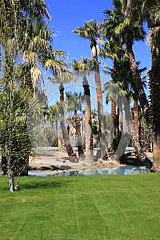 Agua Caliente Park, Tucson, AZ