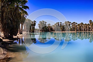 Agua Caliente Park, Tucson AZ