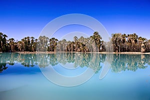 Agua Caliente Park, Tucson AZ