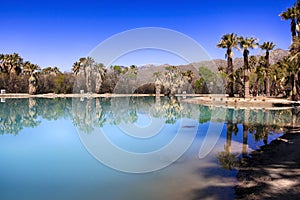 Agua Caliente Park, Tucson AZ